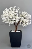 BİÇİÇEK   Bonzai gövdeli Beyaz Sakura Ağacı 150cm Dış Mekana Uygun thumbnail 6