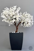 BİÇİÇEK   Bonzai gövdeli Beyaz Sakura Ağacı 150cm Dış Mekana Uygun thumbnail 1