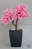 BİÇİÇEK   Bonzai gövdeli Pembe Sakura Ağacı 150cm Dış Mekana Uygun thumbnail 6