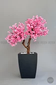 BİÇİÇEK   Bonzai gövdeli Pembe Sakura Ağacı 150cm Dış Mekana Uygun thumbnail 2
