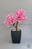 BİÇİÇEK   Bonzai gövdeli Pembe Sakura Ağacı 150cm Dış Mekana Uygun thumbnail 7