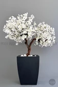 BİÇİÇEK   Bonzai gövdeli Beyaz Sakura Ağacı 150cm Dış Mekana Uygun thumbnail 3
