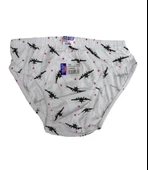 Sedef Yıldız Erkek Çocuk Desenli Külot Slip Pamuklu thumbnail 1