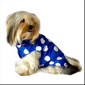 Puantiyeli Mavi Yağmurluk Kapşonlu  Köpek Yağmurluğu - 5