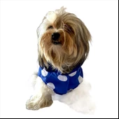 Puantiyeli Mavi Yağmurluk Kapşonlu  Köpek Yağmurluğu - 8