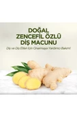 EYÜP SABRİ TUNCER DOĞAL ZENCEFİL ÖZLÜ DİŞ MACUNU 90 ML - 2