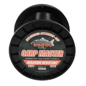 Kudos Carp Master 2500m 0.35 Yeşil Misina  Standart 0,40mm - 1