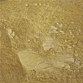 Köri Baharat 150Gr - 1