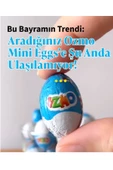 Şölen Ozmo Mini Egg 500gr - 3