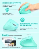 Lekvey Dikey Kablosuz Ergonomik Mouse, Şarj Edilebilir 2.4G Optik - Yeşil - 4