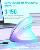 Lekvey Dikey Kablosuz Ergonomik Mouse, Şarj Edilebilir 2.4G Optik - Yeşil/Mor - 3