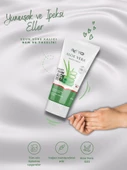 ACTO® ALOE VERA HAND CREAM 50 ml | Aloe Vera Özlü El Bakım Kremi | YENİ FORMÜL - 3