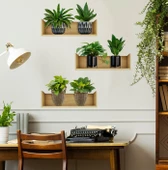 Raflı Bitki Tasarımlı Yapışkanlı Sticker 20*30 cm 3lü Set thumbnail 3