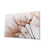 Kahverengi Karahindiba Cam Tablo - 5