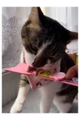 vet advice Kedi Pratik Kaşık Kolay Ödül Maması Yedirme Çubuğu Kedi Kaşığı ADET - 4