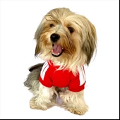Kırmızı Adidog Kapşonlu Köpek Sweatshirt Köpek Kazağı - 6