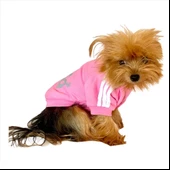 Pembe Adidog Kapşonlu Köpek Sweatshirt Köpek Kazağı - 2