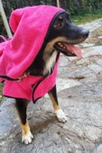 2'li Pamuklu ve Kapüşonlu Köpek Bornozu - 3