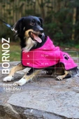 2'li Pamuklu ve Kapüşonlu Köpek Bornozu - 6
