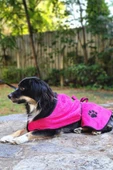 2'li Pamuklu ve Kapüşonlu Köpek Bornozu - 4