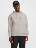 JACK JONES Erkek Kapüşonlu Sweatshirt 12233972 thumbnail 2