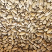 Antep Fıstığı 250Gr - 1