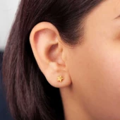 Gümüş Gold Yıldız Çivili Kadın Küpe thumbnail 1