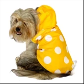 Puantiyeli Sarı Yağmurluk Kapşonlu  Köpek Yağmurluğu - 2