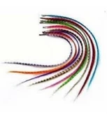 Hair Feather Saç Tüyü - Asorti - 3