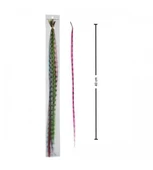 Hair Feather Saç Tüyü - Asorti - 5