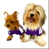 Mor Adidog Kapşonlu Köpek Sweatshirt Köpek Kazağı - 9