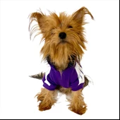 Mor Adidog Kapşonlu Köpek Sweatshirt Köpek Kazağı - 6