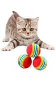 Petinka Gökkuşağı Sünger Kedi Köpek Çiğneme - 6