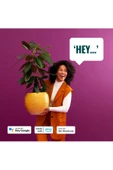 Wiz Imageo 4'lü Spot Ayarlanabilir Beyaz ve Renkli Akıllı Tavan Lambası 929003211401 - 3
