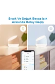 Wiz  Squire Renkli Ambiyans Akıllı Masa Lambası - Wi-fi Ble thumbnail 5