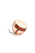 Philips   Hue Iris - Copper (Special Edition) - 1