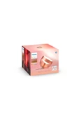 Philips   Hue Iris - Copper (Special Edition) - 3