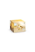 Philips   Hue Iris - Gold (Special Edition) - 2