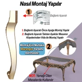 Rosa Masa Dresuar Ayağı 75 cm Plastik Gold Altın Ayak Mutfak Yemek Masası Mobilya Ayakları thumbnail 5