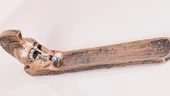 Miğfer Tütsülük - 3
