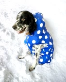 Mega Dots Blue Köpek Kapşonlu Yağmurluk Orta ve Büyük Irklar İçin - 1