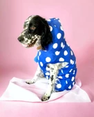 Mega Dots Blue Köpek Kapşonlu Yağmurluk Orta ve Büyük Irklar İçin - 5