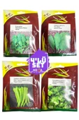 İstanbul tohumculuk    4'LÜ TOHUM SETİ ( ROKA- TERE-YALOVA ÇARLİSTON-MAYDANOZ) 10 GR'LIK PAKET - 1