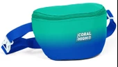 Coral High Yeşil Saks Renk Geçişli Baskılı Erkek Çocuk Bel Çantası thumbnail 1