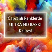 Edvard Munch Çığlık Posteri, Eğlenceli Poster, Kedili Poster, Duvar Posteri, Kedi Sevenlere Hediye thumbnail 8