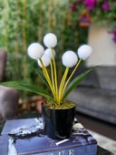 Nettenevime Yapay Çiçek Beyaz Pompon Siyah Saksıda Dekoratif Yapay Çiçek 30*20cm thumbnail 6