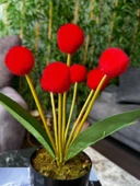Nettenevime Yapay Çiçek Kırmızı Pompon Siyah Saksıda Dekoratif Yapay Çiçek 30*20cm thumbnail 4