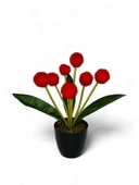 Nettenevime Yapay Çiçek Kırmızı Pompon Siyah Saksıda Dekoratif Yapay Çiçek 30*20cm thumbnail 2