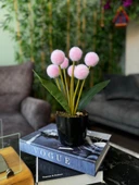 Yapay Çiçek Pembe Pompon Siyah Saksıda Dekoratif Yapay Çiçek 30*20cm - 2