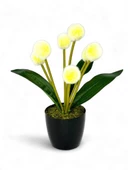 Nettenevime Yapay Çiçek Sarı Pompon Siyah Saksıda Dekoratif Yapay Çiçek 30*20cm - 2